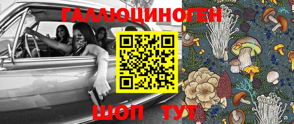 где купить наркоту  Псилоцибиновые грибы MAGIC MUSHROOMS  Вход с VPN  Курчатов 