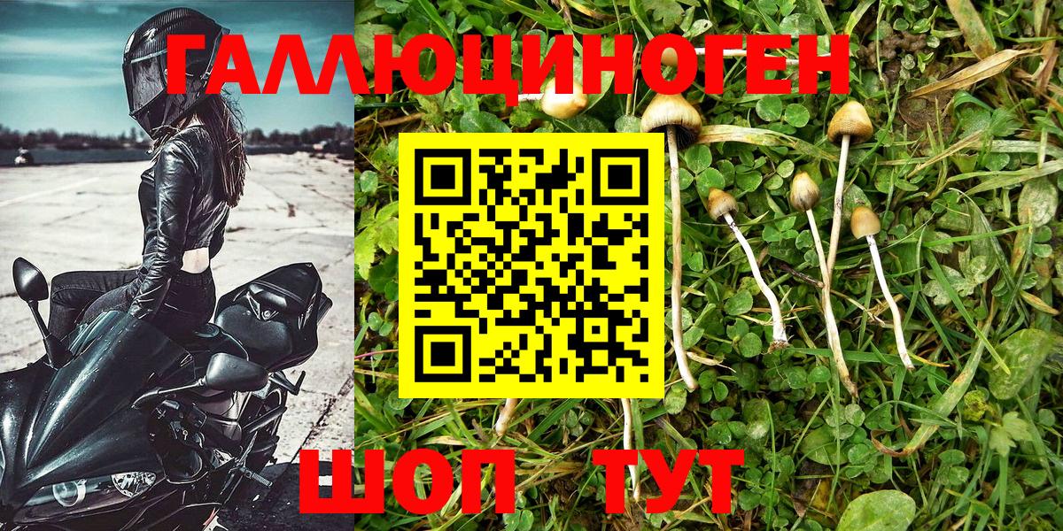 Галлюциногенные грибы мухоморы Курчатов